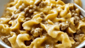 combination of egg noodles and ground beef!